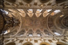 Kostel sv.Jana Křtitele a Jana-Evangelisty - Brno
